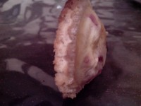/album/galerie-photos/croque-quiche-2-jpg/